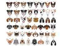 Protected by dogs baby bodysuit, Personalised pick your pooch, Choose from 55 breeds + 288 dog variations