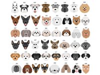 Protected by dogs baby bodysuit, Personalised pick your pooch, Choose from 55 breeds + 288 dog variations
