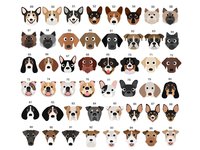 Protected by dogs baby bodysuit, Personalised pick your pooch, Choose from 55 breeds + 288 dog variations