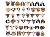 Protected by dogs baby bodysuit, Personalised pick your pooch, Choose from 55 breeds + 288 dog variations