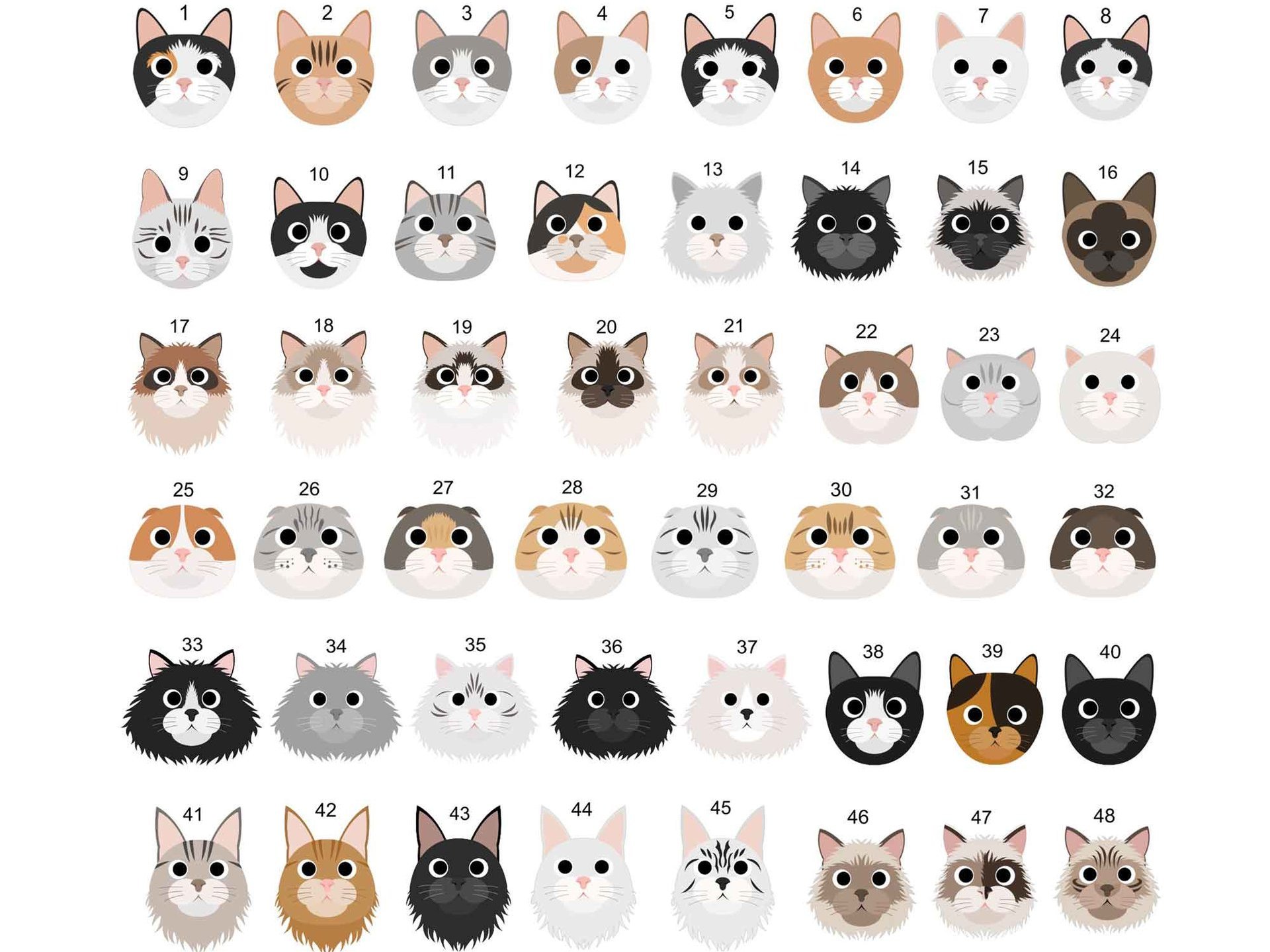 Protected by cats baby bodysuit, Personalised pick your kitty, Choose from 192 cute cat variations