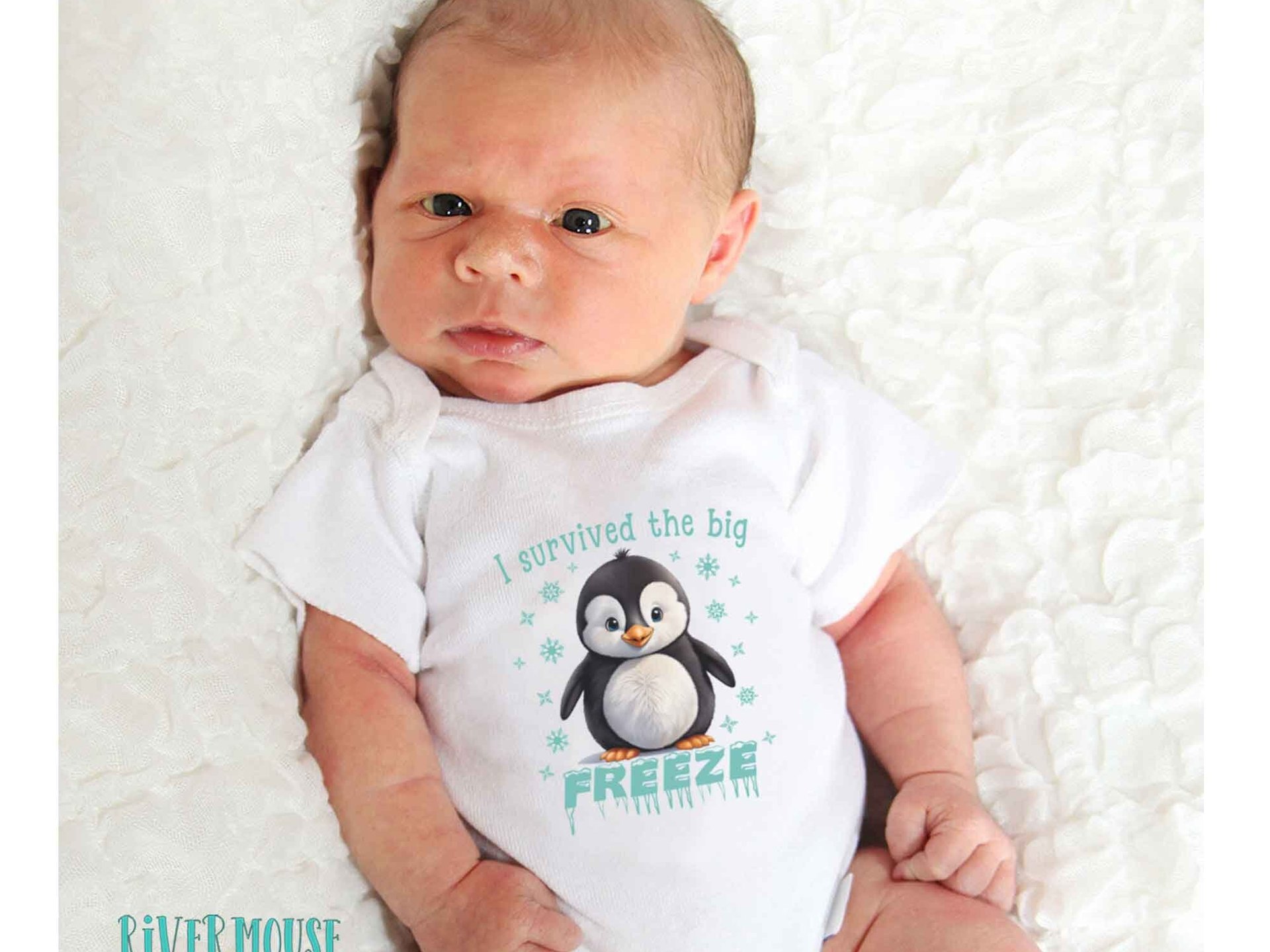 IVF Baby Penguin, I survived the big breeze funny bodysuit, Size newborn to toddler romper, Australian kids gift
