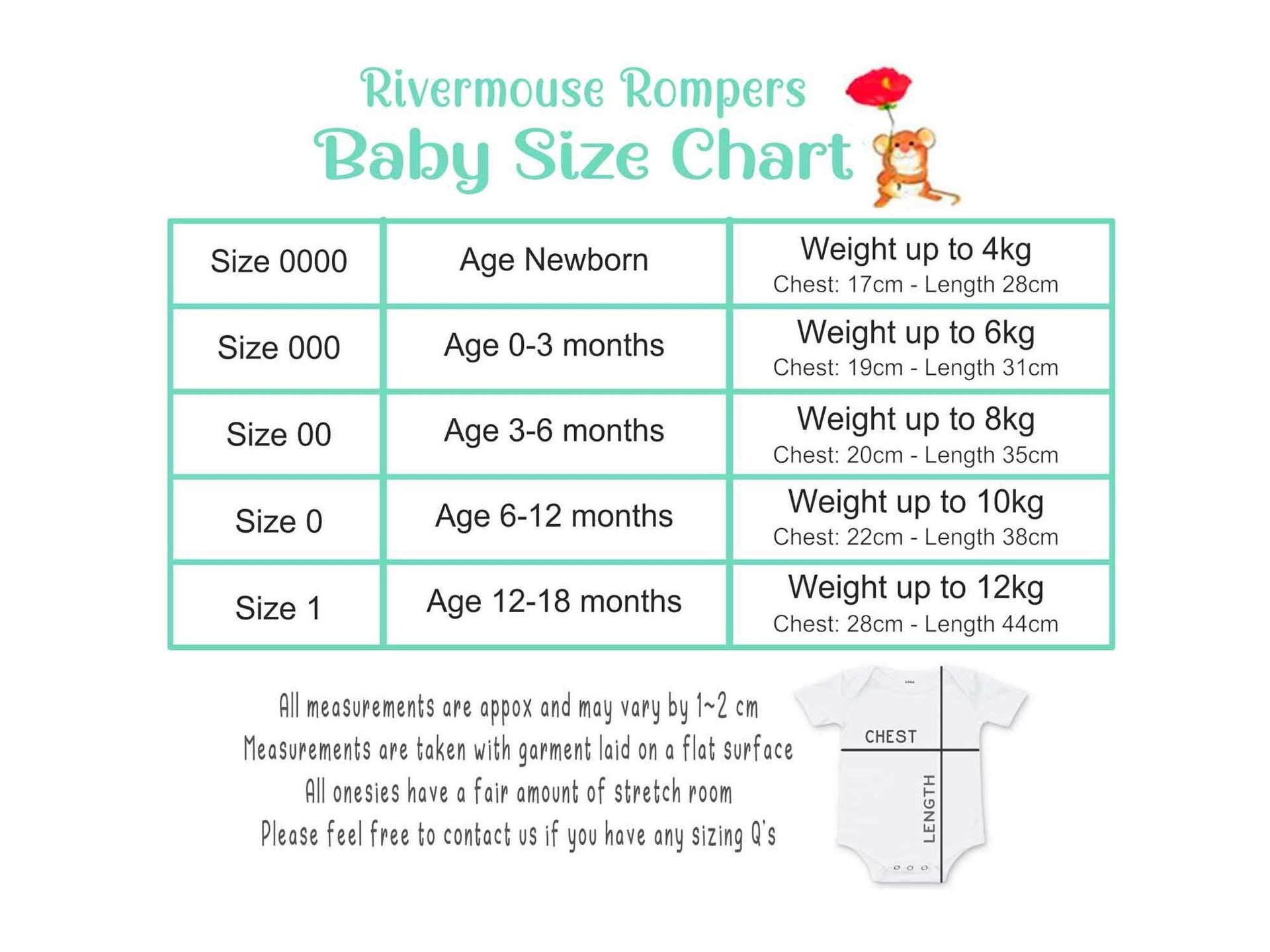 Shits & Giggles Baby Bodysuit, Funny One piece Newborn T shirt, Custom Baby Shower Gift, Rivermouse Rompers Australia